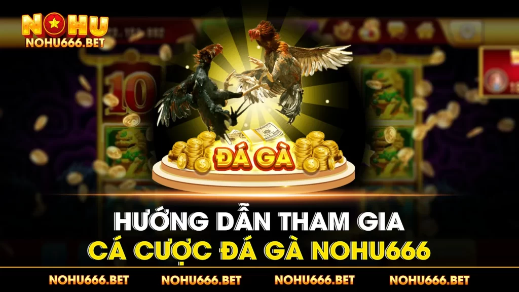 Đá gà Nohu666 01